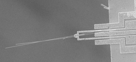 Microgripper holding silicon nanowires. (Opensource Handbook of Nanoscience and Nanotechnology)